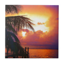Tropical Sunset and Palm Tree Tiles