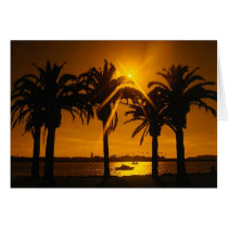 Tropical Sunset cards by ZazzleDayz Tropical Sunset cards