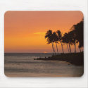 Tropical Sunset mousepads
