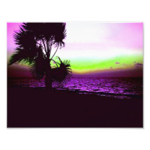 Tropical Sunset Photo Art