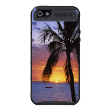 Tropical Sunset with Palm Tree Silhouette iPhone 5 Cases