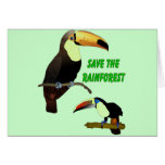 Tropical Toucan cards