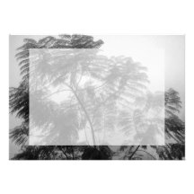 Tropical Tree Black and White in fog Custom Invitations
