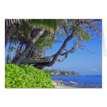 Tropical Tree Fort Cards