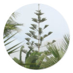 Tropical Trees Stickers