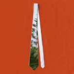 tropical, trees, plants, tree, plant, species,