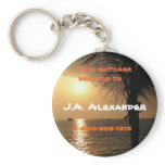 Tropical Twilight Sunset Key Chain