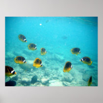 Tropical Underwater Poster