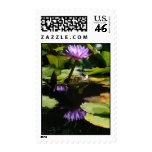 Tropical Water Lily Postage Stamp