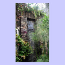Tropical Waterfall business cards