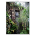 Tropical Waterfall cards by greatphotos Tropical Waterfall cards