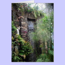 Tropical Waterfall cards