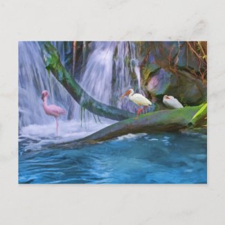 Tropical Waterfall Note or Greeting Card postcard