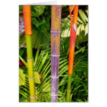 Tropical Wax Palms Cards