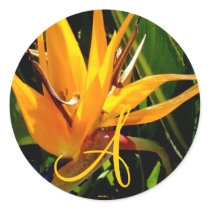 Tropical Wedding Bird of Paradise Monogram Sticker by OntheBeachWeddings Tropical Wedding Bird of Paradise Monogram Sticker