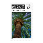 Tropical Wedding Postage