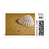 Tropical Wedding Postage Stamp by TDSwhite Tropical Wedding Postage Stamp