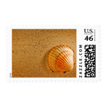Tropical Wedding Postage Stamp - Customized by TDSwhite Tropical Wedding Postage Stamp - Customized