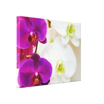 Tropical White Orchids Number Three Stretched Canvas Print