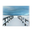 Tropical Winter postcards