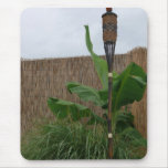 Tropical Yard Mouse Pads