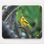 Tropical Yellow Bird Mousepad