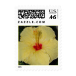 Tropical Yellow Hibiscus stamps