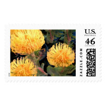 Tropical Yellow Protea postage