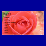 tropicana_rose-1920x1080 TROPICANA ROSE PINK BEAUT business cards