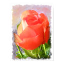 Tropicana+rose