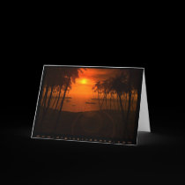 Tropico de Torrid cards