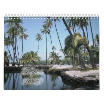 Tropics 2009 calendars