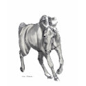 Trot shirt