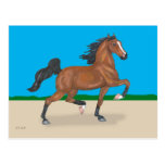 Trotting American Saddlebred Postcard