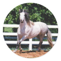 TROTTING ANDALUSIAN HORSE STICKER