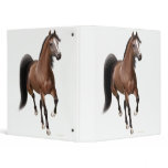 Trotting Arabian Horse Avery Binder