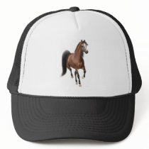 Trotting Arabian Horse hats