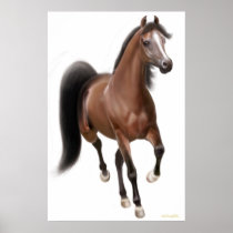 Trotting Bay Horse Poster