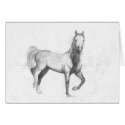 Trotting cards