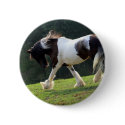 Trotting Gypsy Vanner buttons