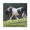 Trotting Gypsy Vanner magnets