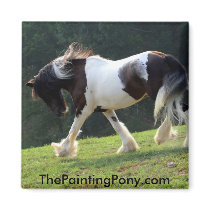 Trotting Gypsy Vanner magnets
