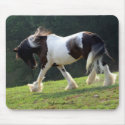 Trotting Gypsy Vanner mousepads