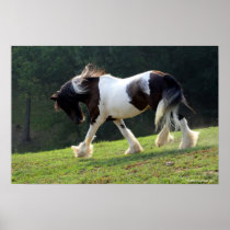 Trotting Gypsy Vanner Print