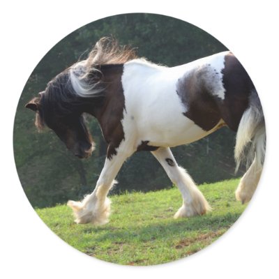 Trotting Gypsy Vanner Round Stickers by PaintingPony