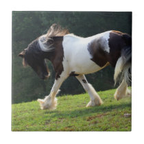 Trotting Gypsy Vanner Ceramic Tile