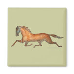 Trotting Horse Fridge Magnet