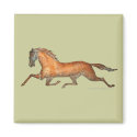 Trotting Horse magnets