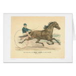 Trotting stallion Palo Alto by Electioneer (1791A) Cards