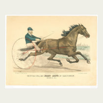 Trotting stallion Palo Alto by Electioneer (1791A) posters by Bancroft Trotting stallion Palo Alto by Electioneer (1791A) posters